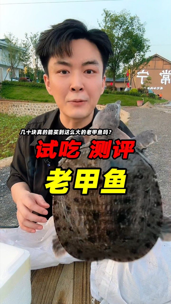 几十块钱真的能买到三只这么大的老甲鱼吗?