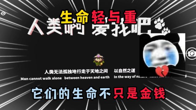 蛋仔派对:生命轻与重,它们的生命不只是金钱!