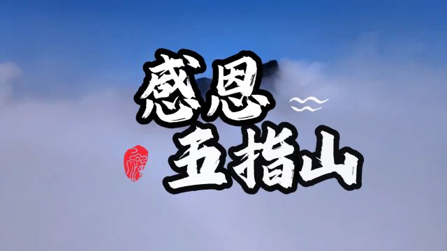 来到海南五指山,都是素未谋面,就跟回家了一样!