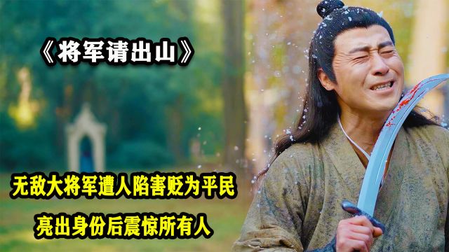 无敌大将军遭人陷害贬为平民,亮出身份后震惊所有人