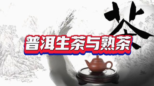 普洱生茶与熟茶