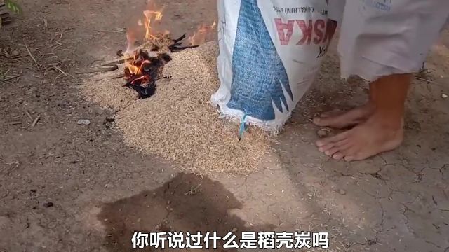 稻壳炭有哪些神奇作用,它又是怎么制作的?不可思议的煨稻壳技术