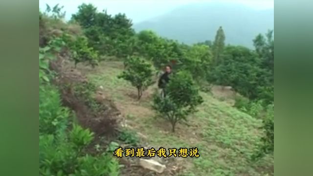 武当山道士展示轻功,瞬间飞跃20米,实在太离谱武当山道士功夫武术