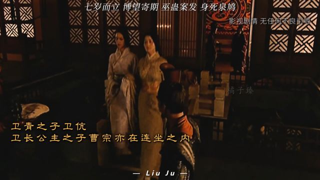 刘据应是历史上最冤屈和遗憾的太子,武帝时常埋怨“子不类父”2