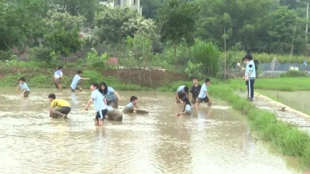 探寻油茶奥秘 畅享研学之乐