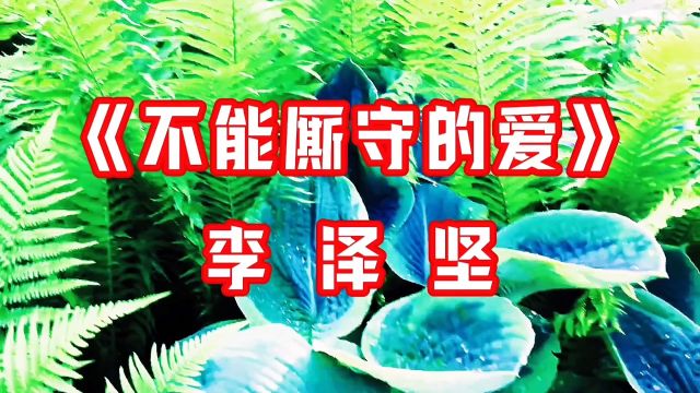 《不能厮守的爱》 李泽坚