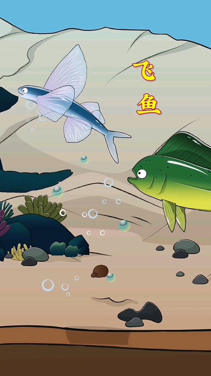 飞鱼可以利用滑翔技术来躲避天敌!