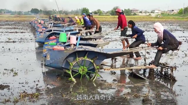 越南人是怎么给稻田松土的?一排改装摩托车开过去,瞬间泥土飞溅