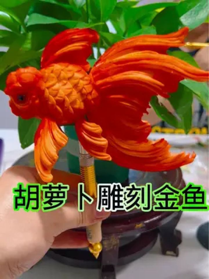 胡萝卜雕刻金鱼,上课作品,太可爱了,一起期待后期成品吧.