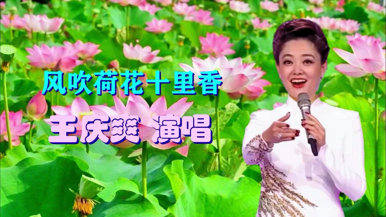 王庆爽演唱《风吹荷花十里香》她的嗓子真清爽.