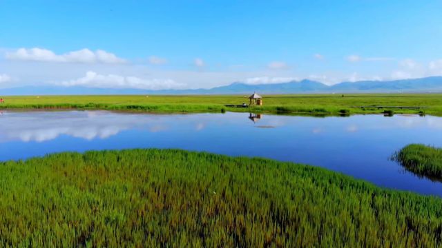 生态文明,美丽中国:若尔盖湿地