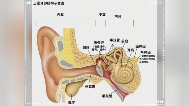 [勾引][勾引][勾引]耳鸣四大诱因:1、高血压、糖尿病,久坐,颈椎病,