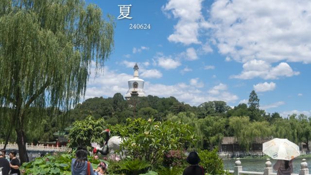 北海公园的夏天就是这么美