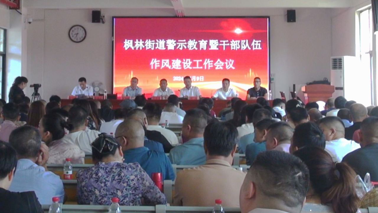 新化县枫林街道:以案为鉴守牢底线 改进作风狠抓落实