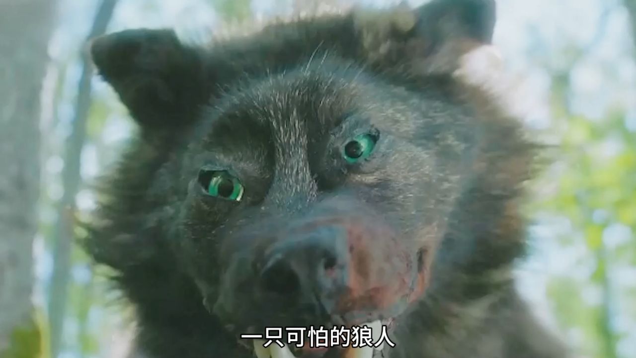 狼人穿上人皮,潜伏进人类的生活区域