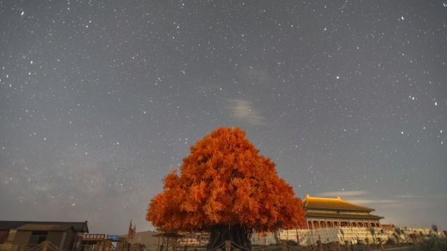 敦煌长城影视城红棕树与星空延时