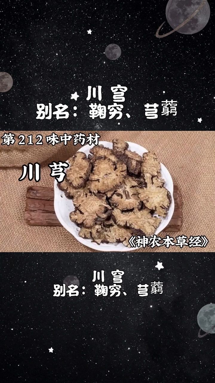 今天介绍第两百一十二味中药材,川芎#中医 #川芎 #中草药 #中药材