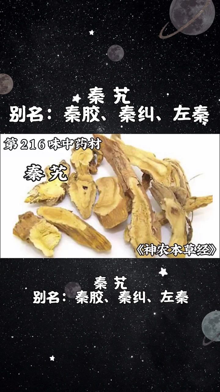 秦艽中医世家图片