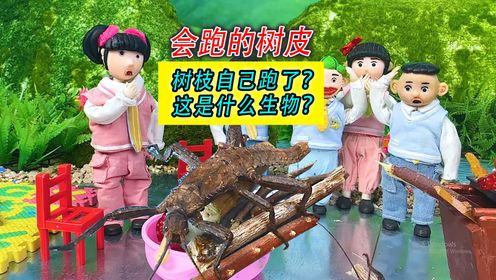 捡来的树枝自己跑了?这是什么生物变异了?_高清1080P在线观看平台_腾讯视频