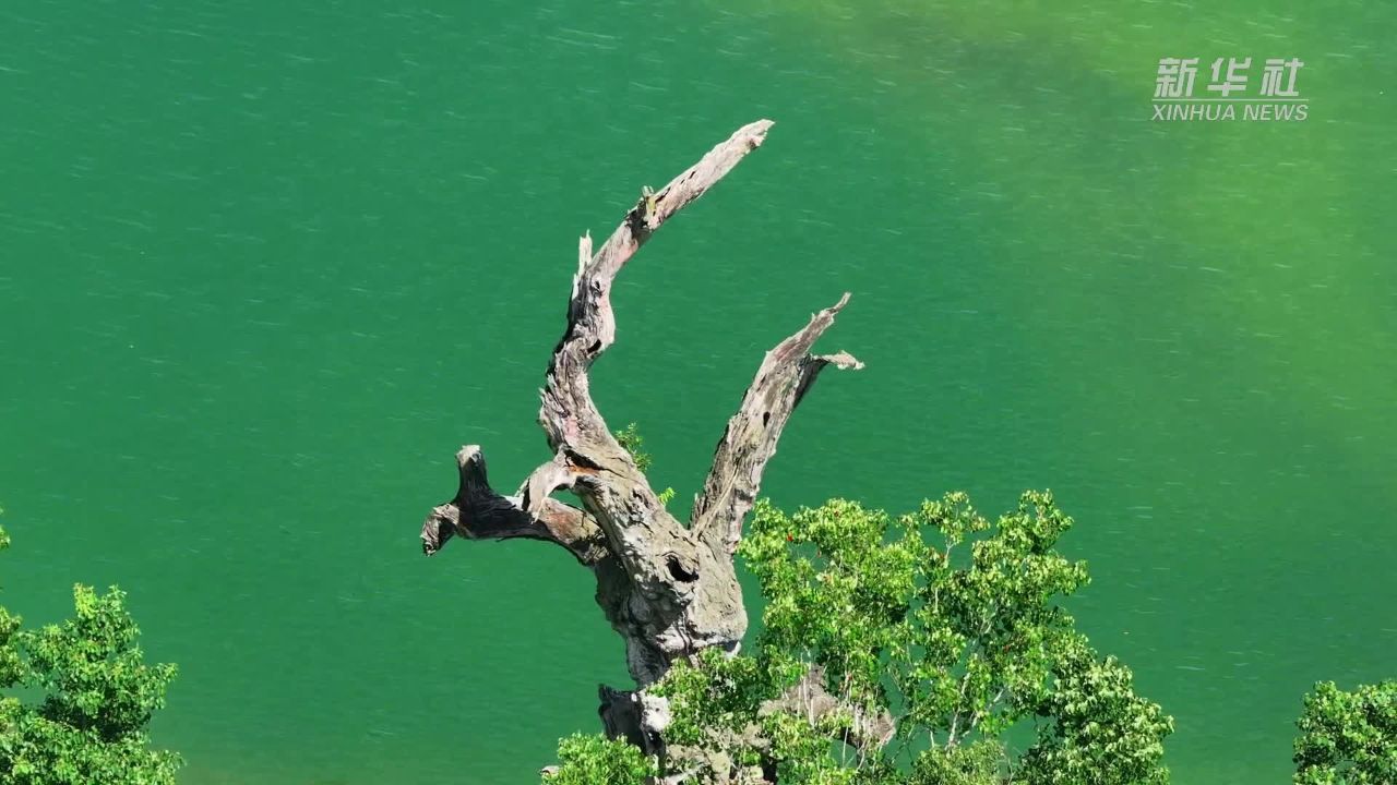 黄山丰乐湖景区门票图片