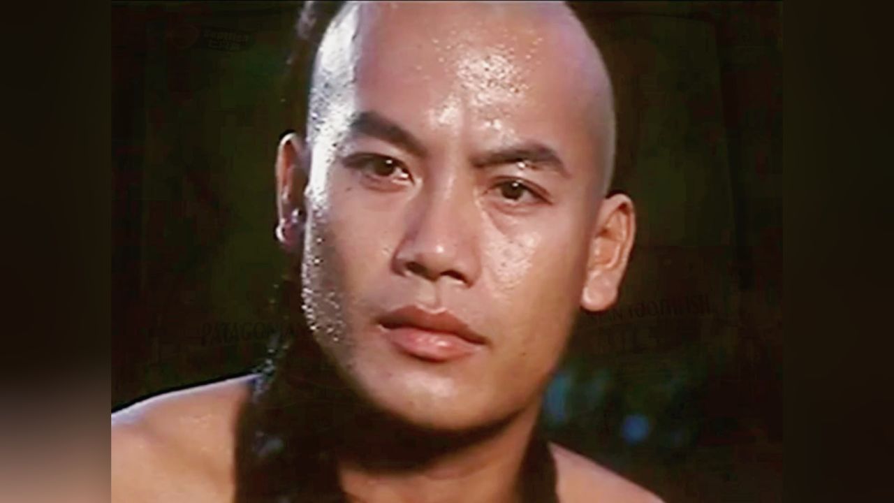 南拳王精彩影视动作片