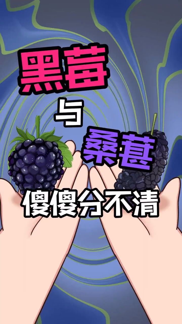 扑克牌黑梅图片