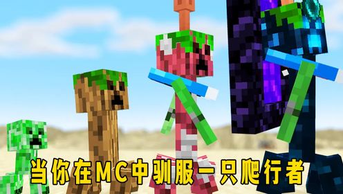 一口气看完系列:当你在MC中驯服一只爬行者,带着它直接征服末地世界_高清1080P在线观看平台_腾讯视频