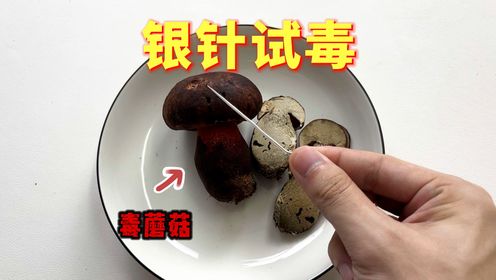 腾讯视频