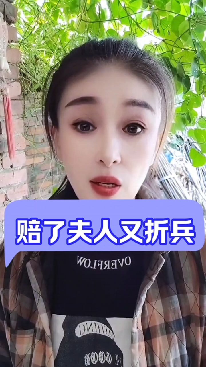 赔了夫人又折兵的故事图片