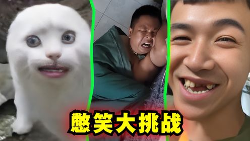 憋笑大挑战:我不信你能忍住不笑看完这五关!_高清1080P在线观看平台_腾讯视频