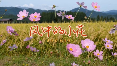 张宇桦钢琴曲《风中的小花》,欣赏美丽的花儿,旋律欢快温馨_高清1080P在线观看平台_腾讯视频