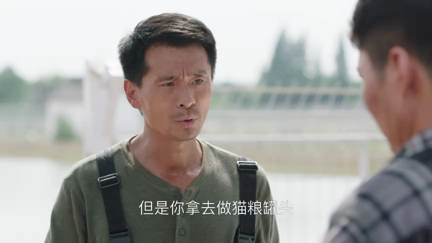 此心安处是吾乡[卫视版] 31集