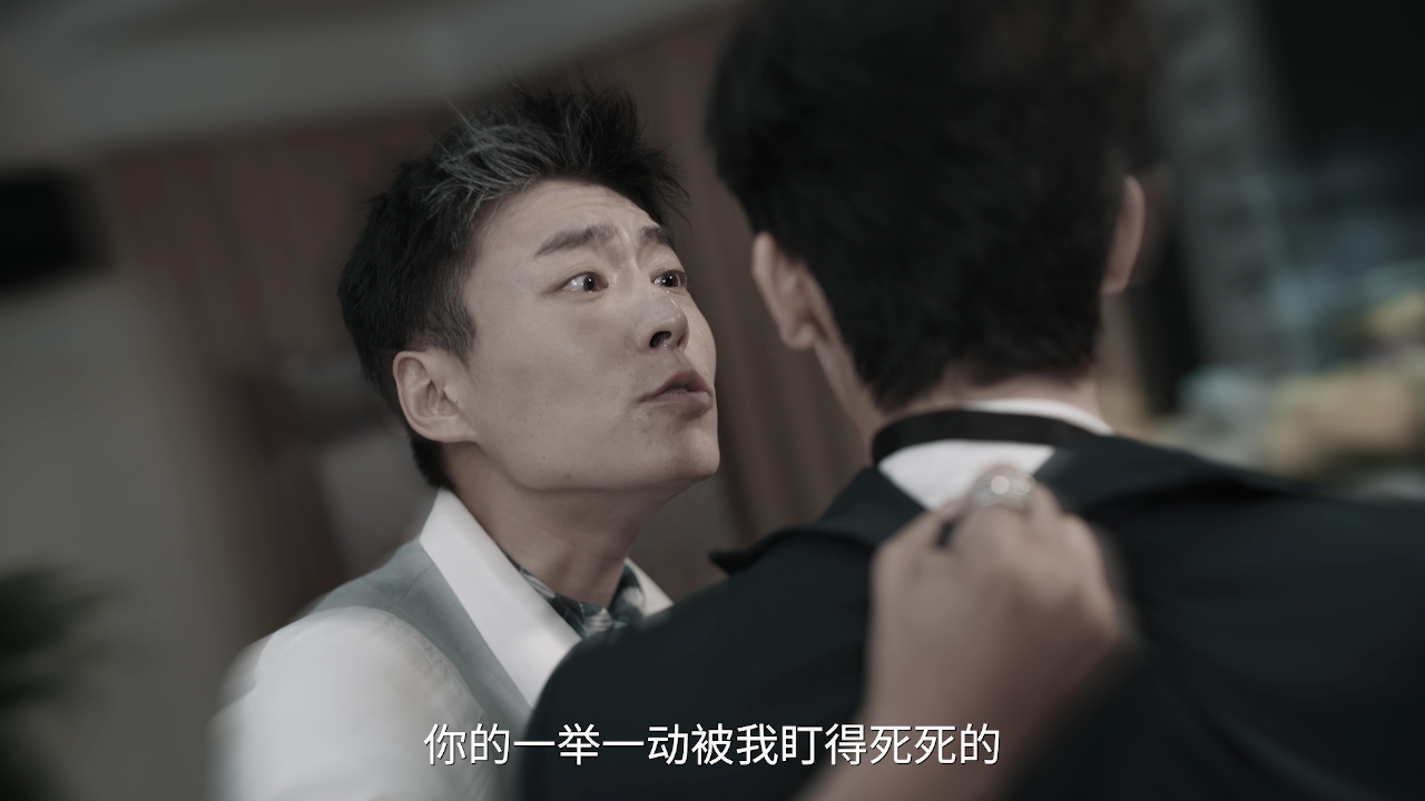 我能预见成功率 20集