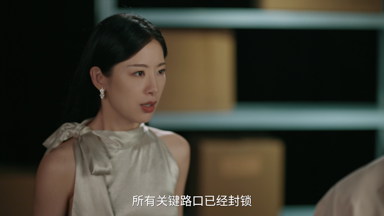 我能预见成功率 30集