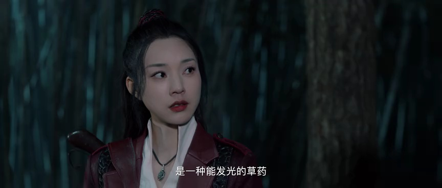 走山 8集