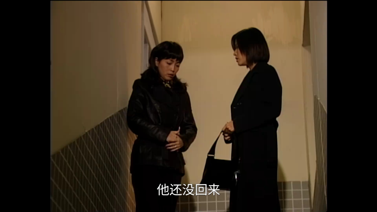 刑事侦缉档案4[普通话版] 35集