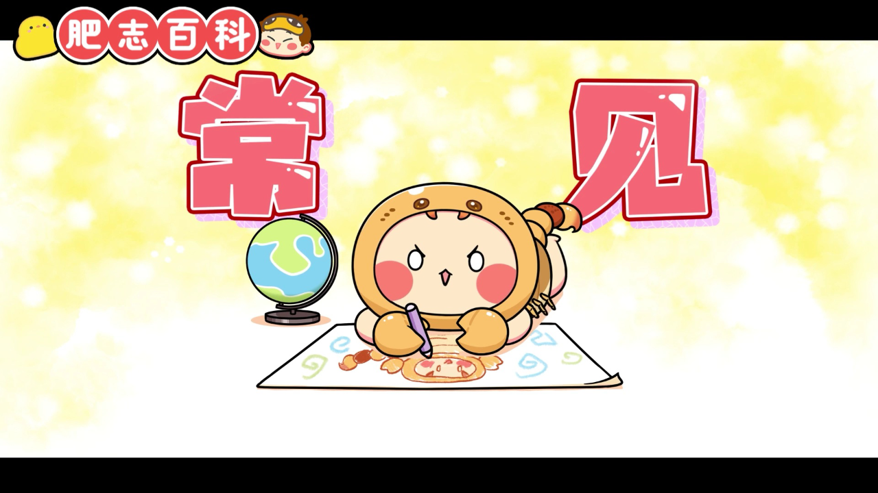 肥志百科第13季 1集