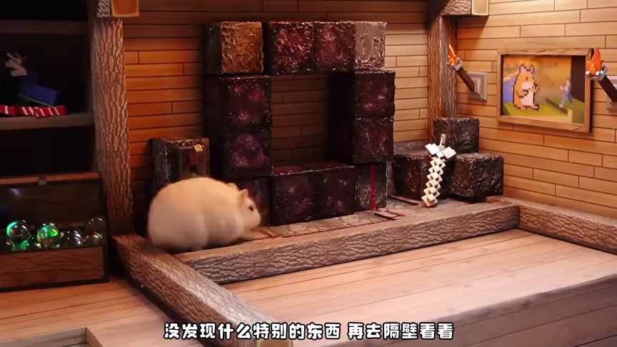 小仓鼠闯关乐园第二季 45集