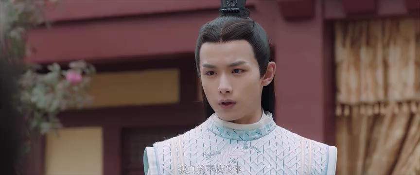 过遍千城才识君 19集