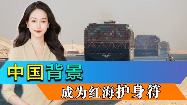 中国背景成红海“护身符”,王毅继续为巴勒斯坦发声,拜登政府走到十字路口