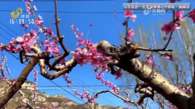 位于大山深处的旅游村!中郝峪幽幽谷是真正意义上的\