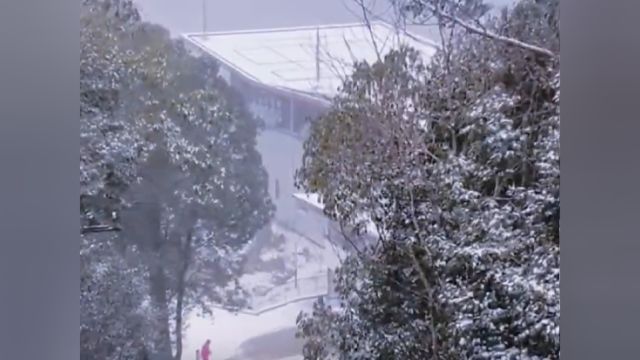 会动的雪景来了!云欣赏浙江多地景区雪景