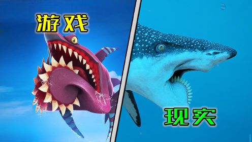 【《饥饿鲨：世界》物种科普解析：鲨鱼篇6】