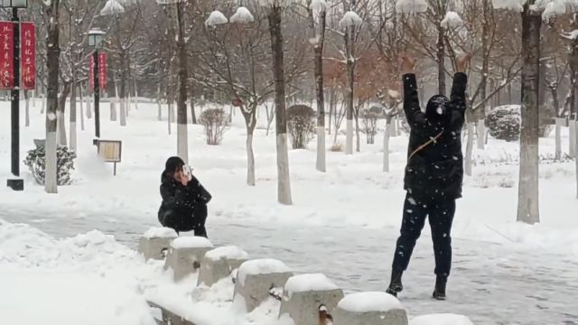 博览组图︱瑞雪映春景色新