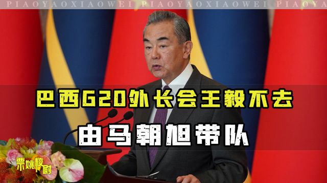 美俄外长出席巴西会议,王毅没有去,中国由马朝旭带队