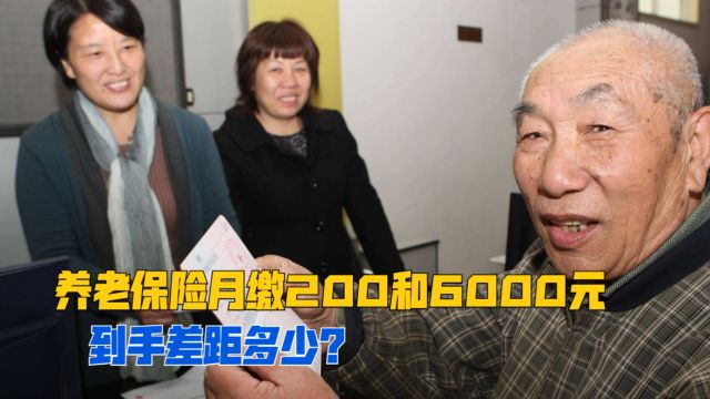 农村养老保险交200元和6000元,养老金每月到手差距多少?