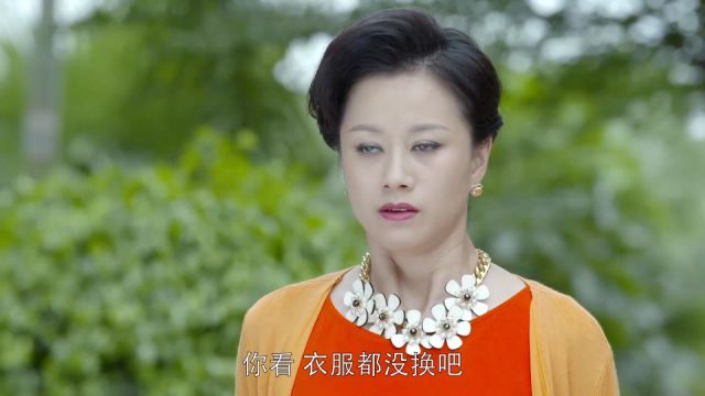 女婿书房里偷公司机密,岳母出门杀个回马枪,精彩了