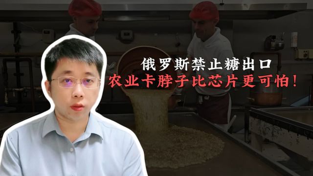 俄罗斯禁止糖出口,农业卡脖子比芯片更可怕!