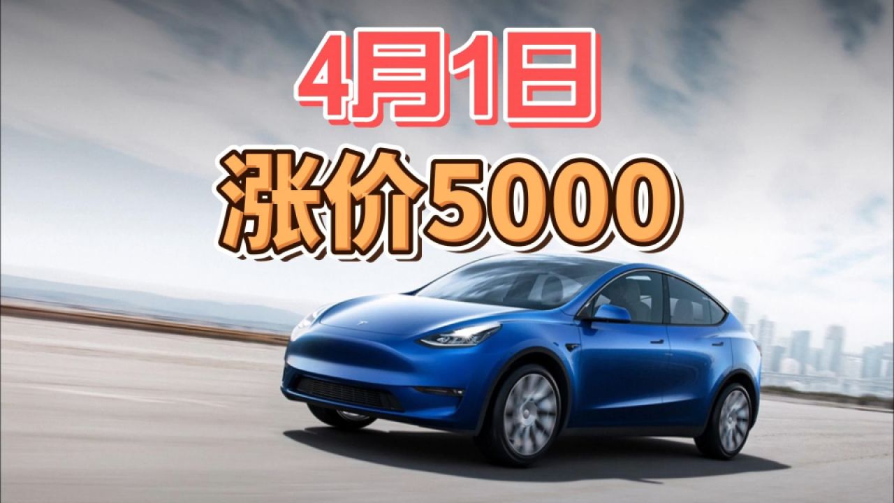 特斯拉官宣:4月1日,model y涨价5000!