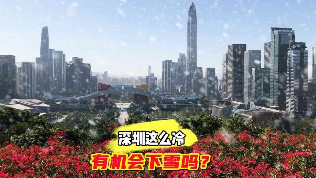 2023年12月21日,深圳最低温度7度,这样下去有机会下雪吗?